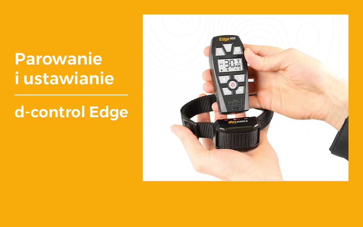 Łatwa i prosta konfiguracja obroży treningowej d-control Edge