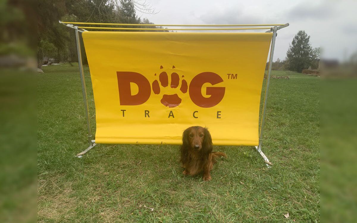 "Prekážka Dogtrace presne splnila moje očakávania"hovorí Miroslava Marková