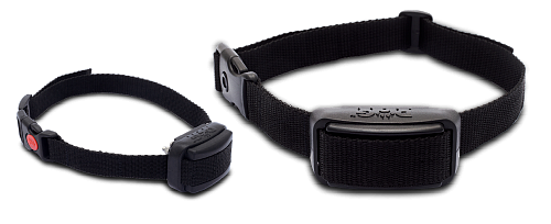 No Bark Collars for dogs