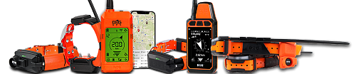 Collars DOG GPS