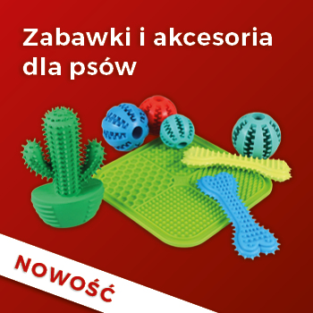 Kto się bawi – nie psoci!