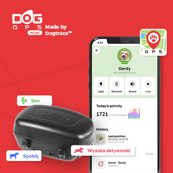 Zbudowany z myślą o bezpiecznych krokach zwierząt domowych