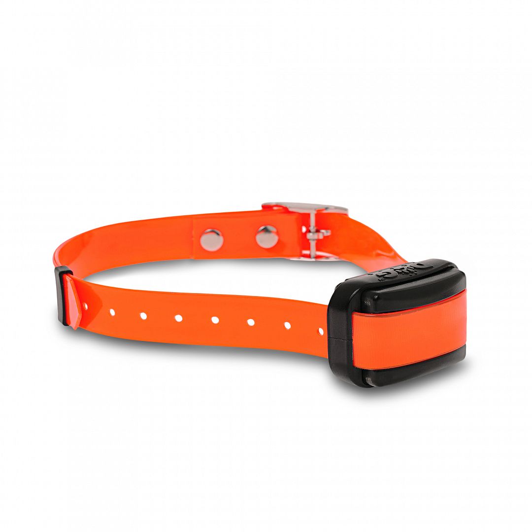 Electronic training collar d control professional 1000 mini Dogtrace Electronic trainning collars and dog equipment