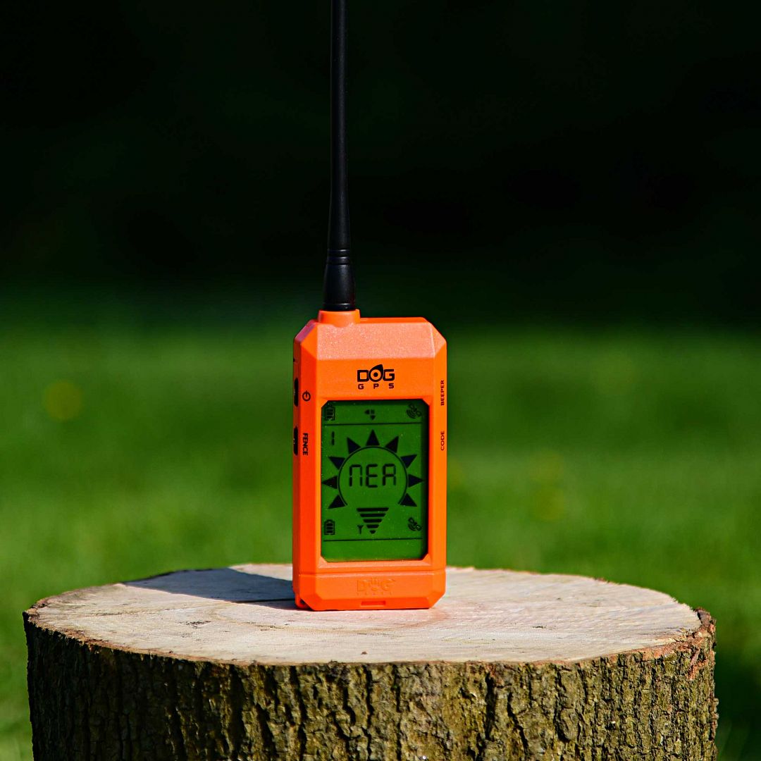 Localizador Gps Para Perros Dogtrace X20 20km De Alcance Con Función  Becada, Brújula Y Fence, Color Naranja con Ofertas en Carrefour