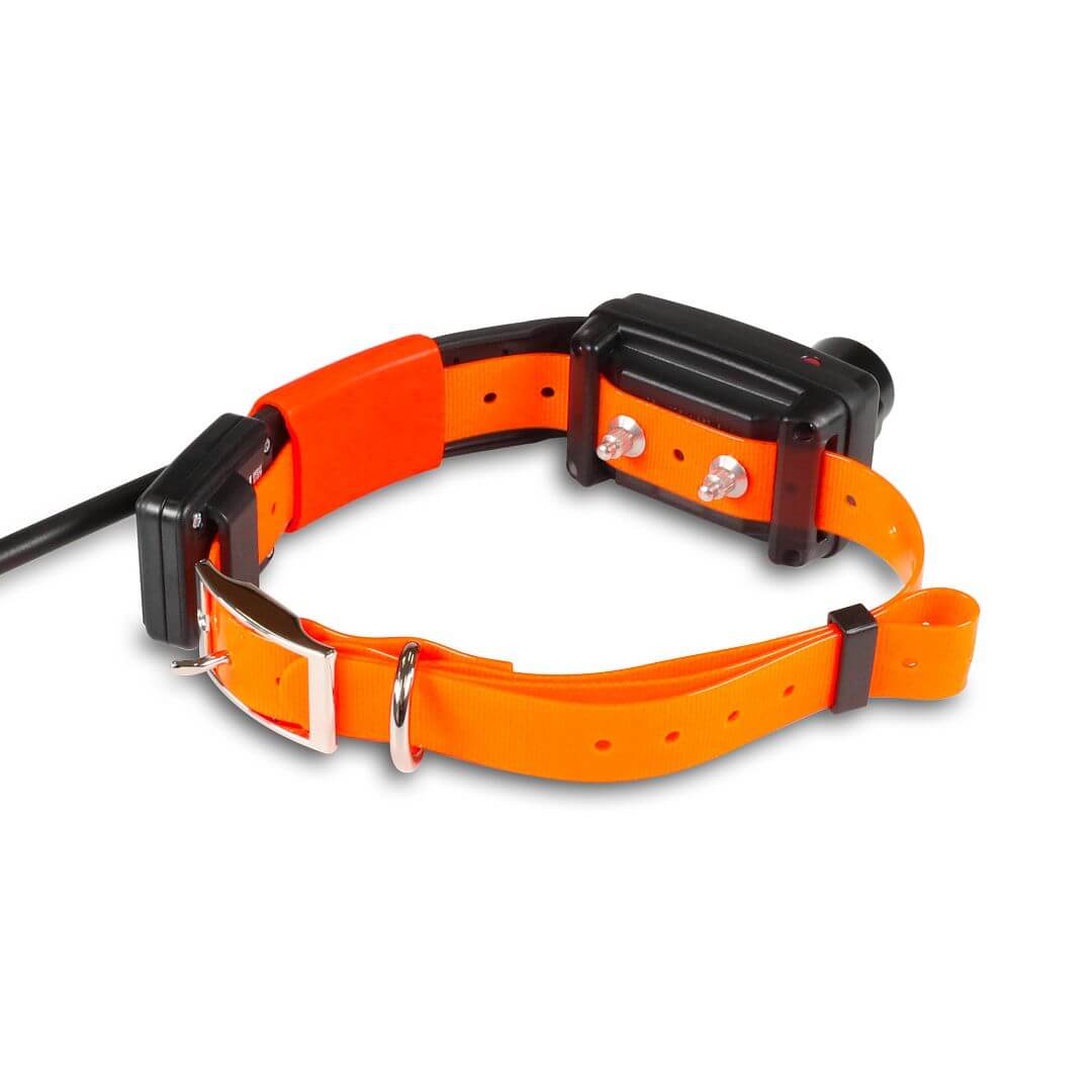 Track and train dog collars cheap