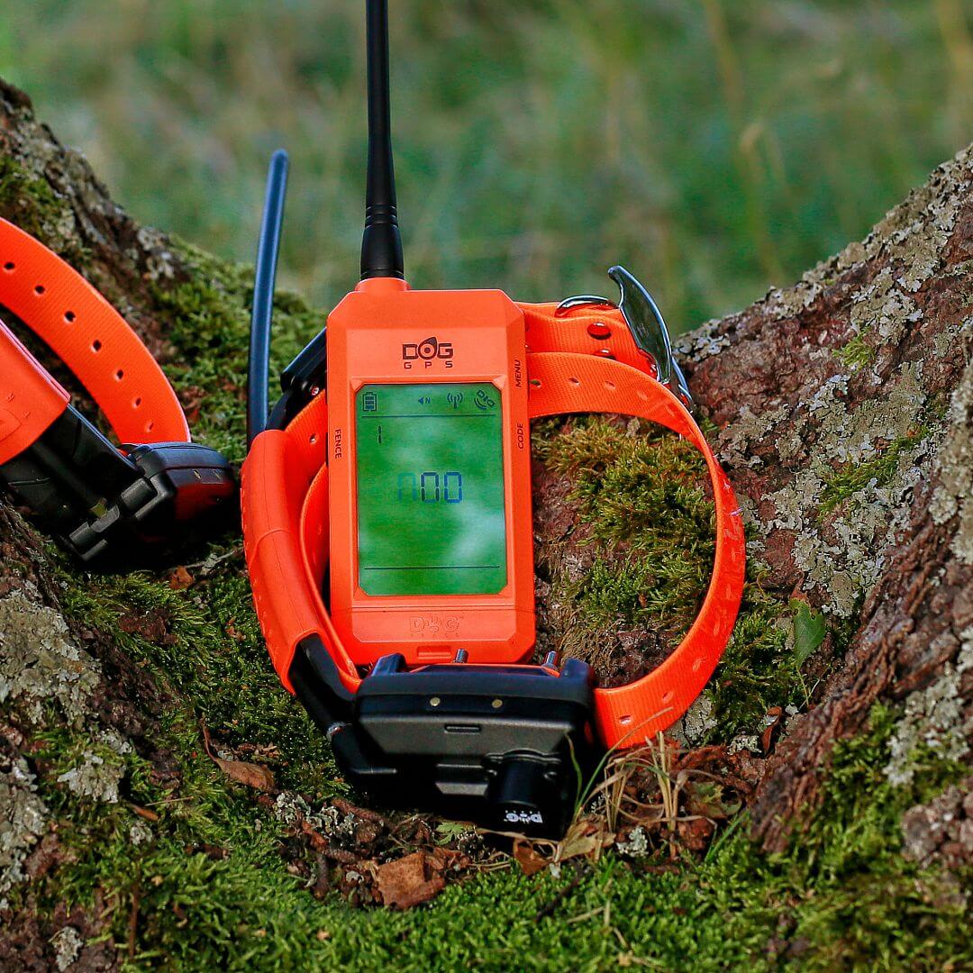 DogTrace X30TB Collier GPS Beeper et Dressage pour chiens + télécommande +  beeper + batterie - 20 km Nombre de colliers 1 collier