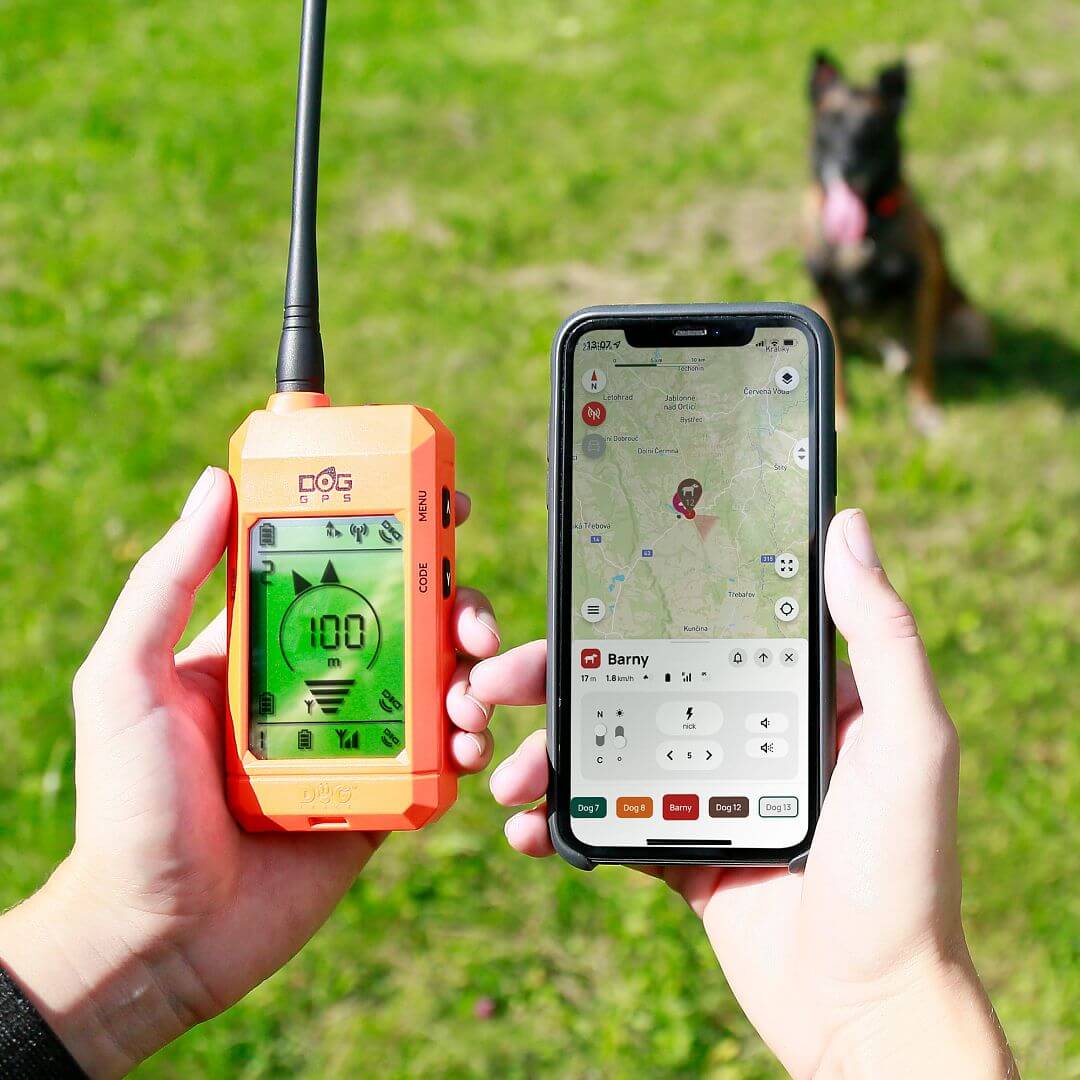 DogTrace X30TB Collier GPS Beeper et Dressage pour chiens + télécommande +  beeper + batterie - 20 km Nombre de colliers 1 collier