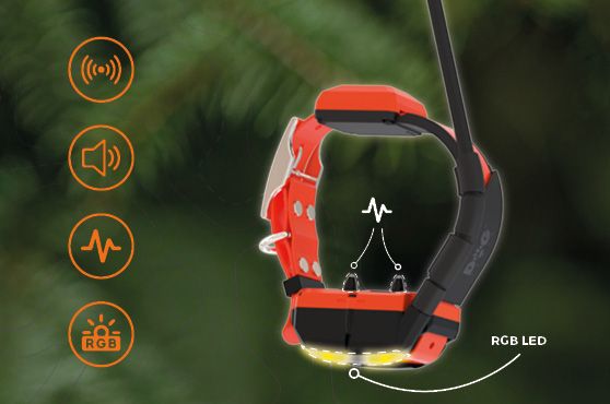 Train with confidence in tought terrain