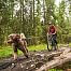 Antena Bike na rower i hulajnogę z psem Non-stop dogwear