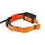 Collar for another dog - DOG GPS X30T Short