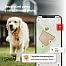 DOG GPS mini lokalizator dla psów