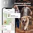 DOG GPS mini lokalizator dla psów