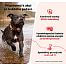 DOG GPS ultra je GPS lokátor s dlhou výdržou batérie