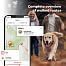 DOG GPS ultra locator for dogs