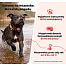 DOG GPS ultra to lokalizator GPS o dużej wytrzymałości