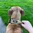 K9 tactical collar for dogs with handle, khaki, sized. S - XL