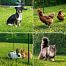 Mobilní plot pro psa FIX s brankou, délka 15 m, výška 90 cm