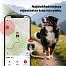 Najnowocześniejsza technologia GPS z najdokładniejszym określaniem lokalizacji Twojego pupila
