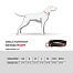 Obroża dla psa Roam Non-stop dogwear