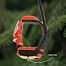 Obroża GPS dla psa DOG GPS X40