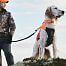 Ochranná lovecká vesta pre psa Protector