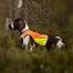 Ochranná lovecká vesta pro psa Protector