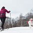 Pas trekkingowy 2.0 Non-stop dogwear