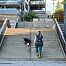 Pas trekkingowy 2.0 Non-stop dogwear