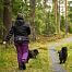 Pas trekkingowy 2.0 Non-stop dogwear