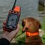 Receiver - handheld device for DOG GPS X40