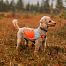 Reflexní vesta pro psa, oranžová