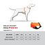 Tabuľka veľkostí - ochranná lovecká vesta pre psa Protector