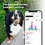 Track and share your pet’s activity and biorhythm