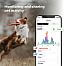Track your pet’s activities and share everything with family and friends