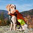 vest DOG GPS