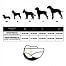 vest DOG GPS