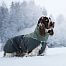 Zimná bunda pre psa Glacier Wool 2.0, sivo-zelená