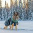 Zimná bunda pre psa Glacier Wool 2.0, sivo-zelená
