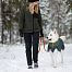 Zimní bunda pro psa Glacier Wool 2.0, šedo-zelená