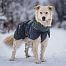 Zimní bunda pro psa Glacier Wool 2.0, šedo-zelená