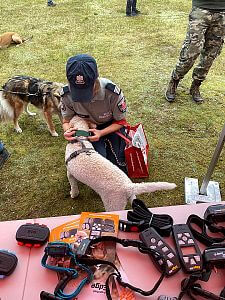 Dogtrace na extrémním závodě pro psy Dogmagedon K9