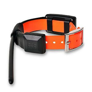 Functions and features of DOG GPS collars