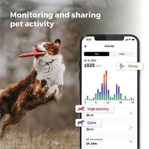 Functions and features of the Pet Tracker app