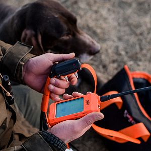 Functions and features of Tracking & Training System DOG GPS X30