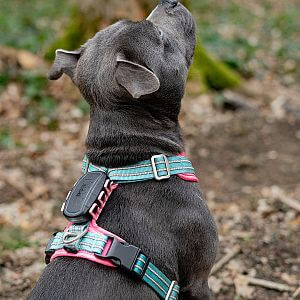 Funkcie a vlastnosti GPS trackera DOG GPS ultra