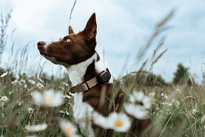 Funkcie a vlastnosti GPS trackera