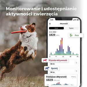 Funkcje i cechy aplikacji Pet Tracker