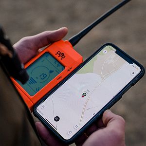 Ruční zařízení DOG GPS X30 propojené s chytrým mobilním telefonem