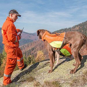 Vyhledávací zařízení DOG GPS X30 na loveckém psovi s ochranou vestou Dogtrace DOG GPS