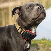 Tracker pre psov DOG GPS ultra